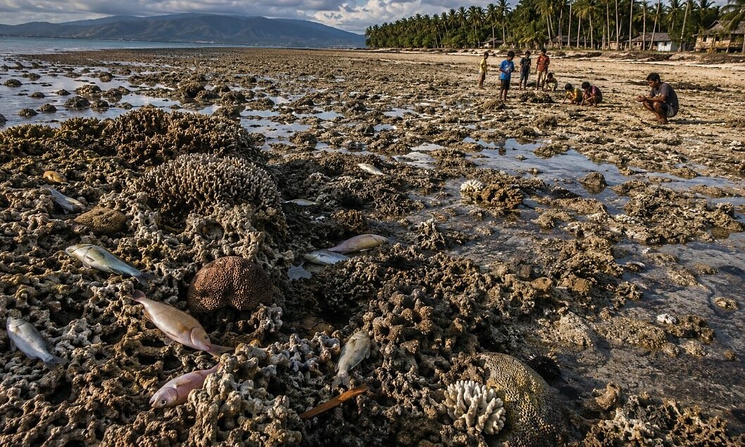 Động đất Philippines khiến đáy biển bị nâng lên 2 mét