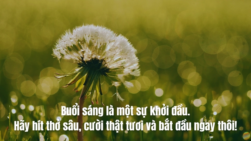 anh_dong_luc_34_887807fa52.jpg
