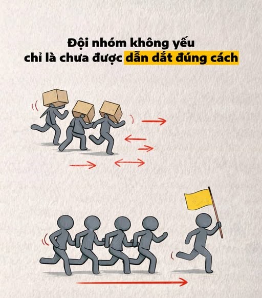 đội nhóm không yếu.jpg