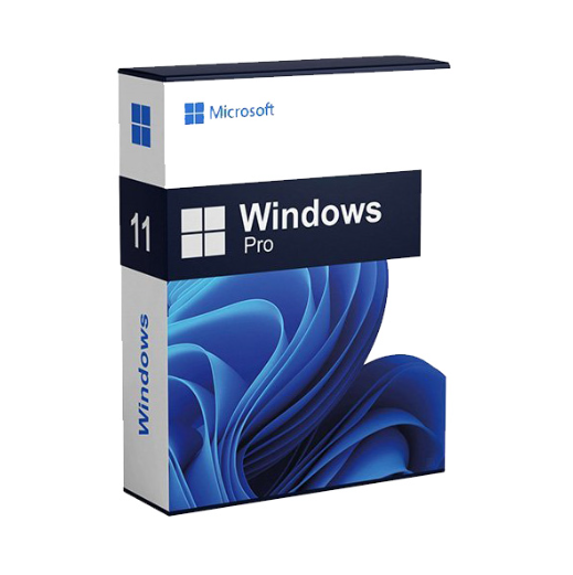 win 11 pro.png